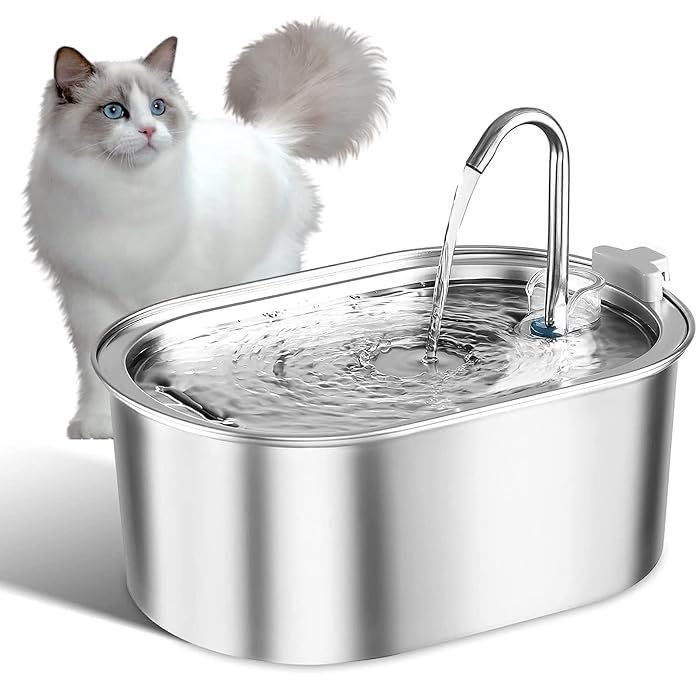 Fontaine à Eau pour Chat – Une Eau Fraîche qui Donne Envie de Boire